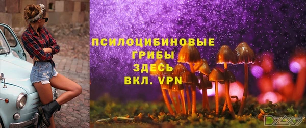 мет Аркадак